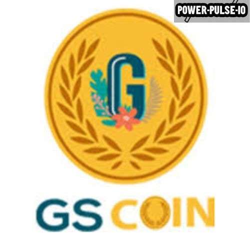 GS Coin (Placeholder for actual coin name)